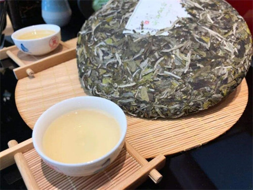 老白茶是什么茶?了解一下老白茶的品种和特点