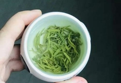 铁观音乌龙茶凤山(shān)茶哪种更好喝(hē)?